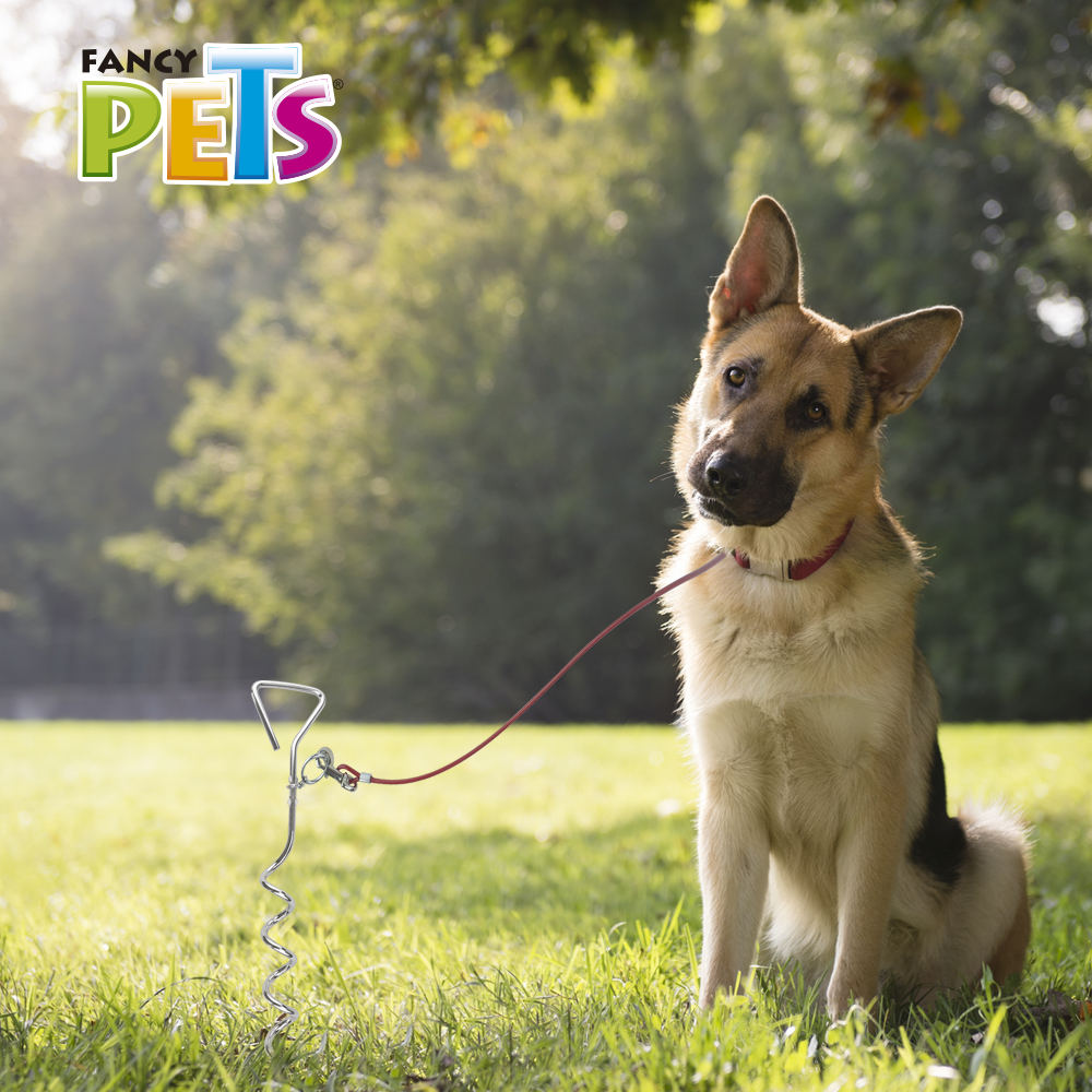 Sanlian Estaca para Sujetar Mascotas 40cm