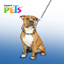 Sanlian Collar de Entrenamiento con Puas para Perro
