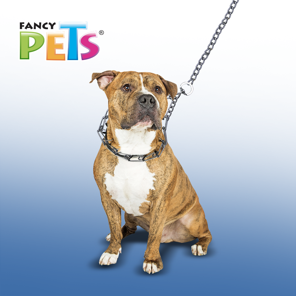 Sanlian Collar de Entrenamiento con Puas para Perro