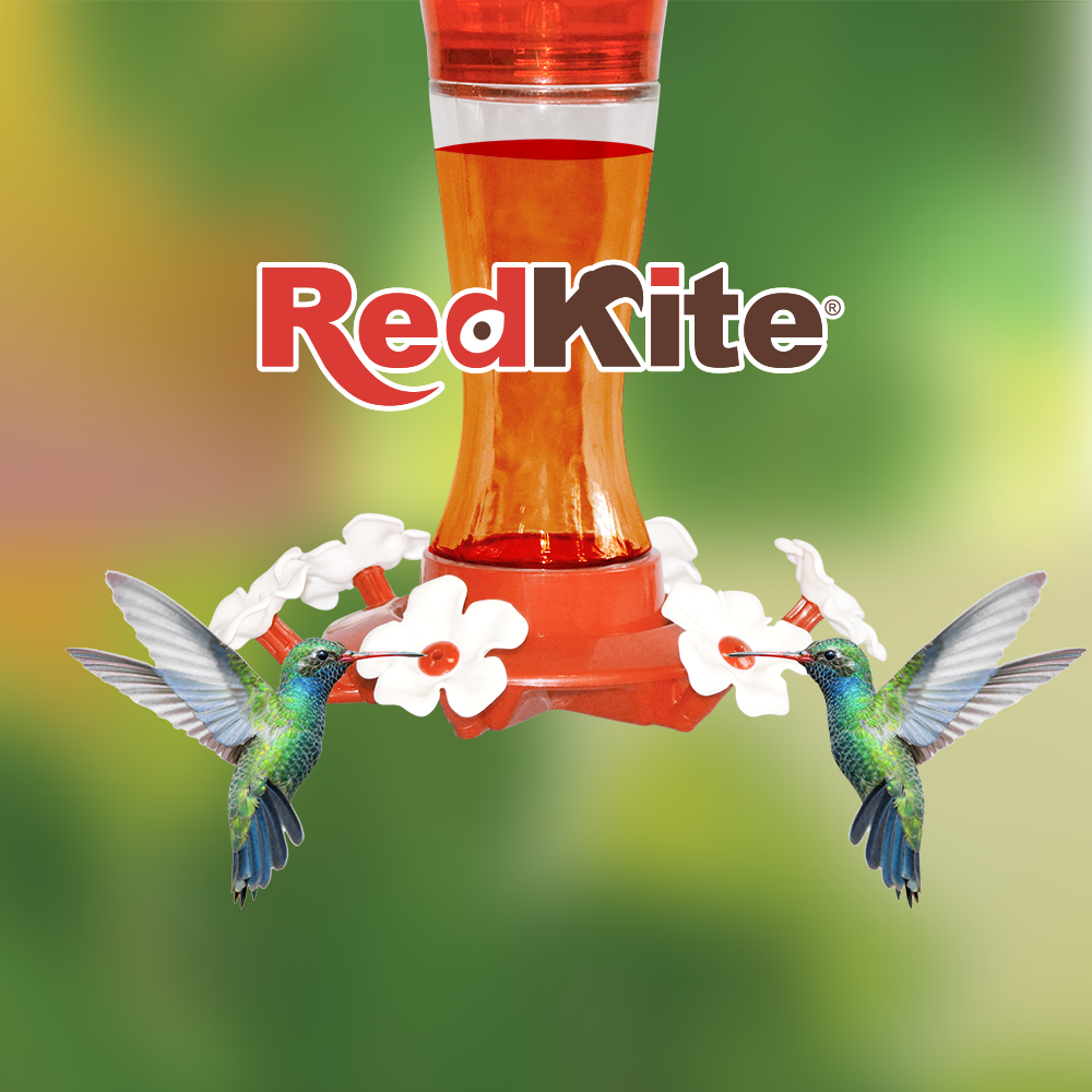 Huazhijie Bebedero de Vidrio para Colibri