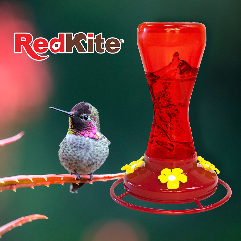 Huazhijie Bebedero Rojo para Colibri 470 ml