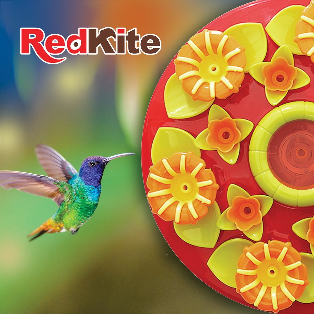 Huazhijie Bebedero Disco Floral para Colibri 500 ml
