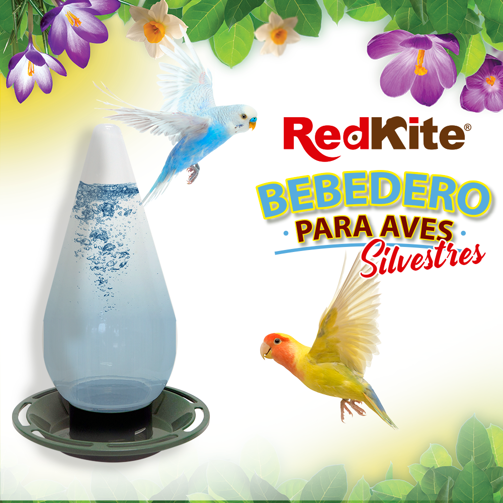 Huazhijie Bebedero para Aves Silvestres 1.2 L