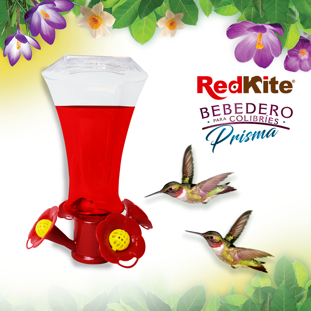 Huazhijie Bebedero Diamante para Colibri 700 ml
