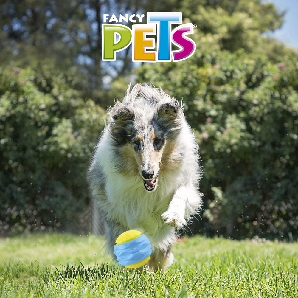 Petsound Pelota Curvy con Sonido Fetch para Perro