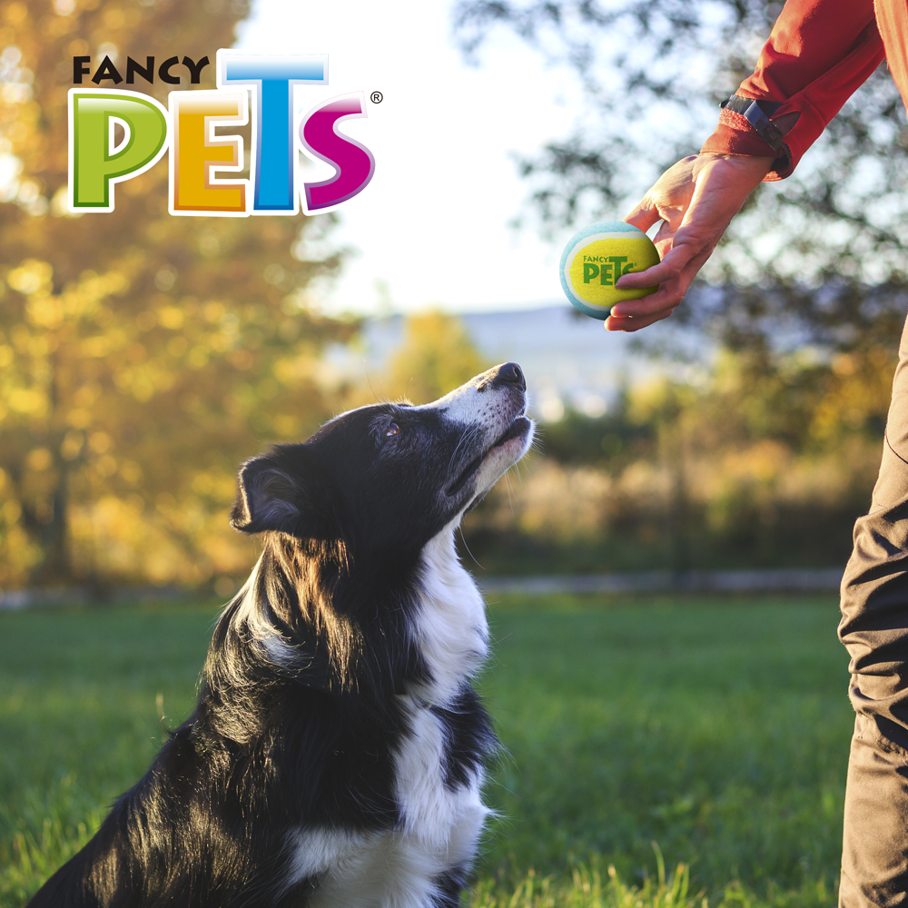 Petsound Pelota de Tenis Mediano Fetch para Perro