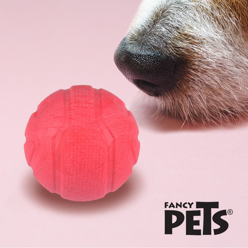 Petsound Juguete Pelota con Aroma Fresa Sniff para Perro