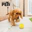 Petsound Juguete Pelota con Aroma Mango Sniff para Perro