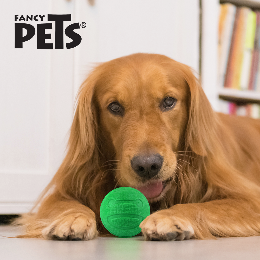 Petsound Juguete Pelota con Aroma Sandia Sniff para Perro