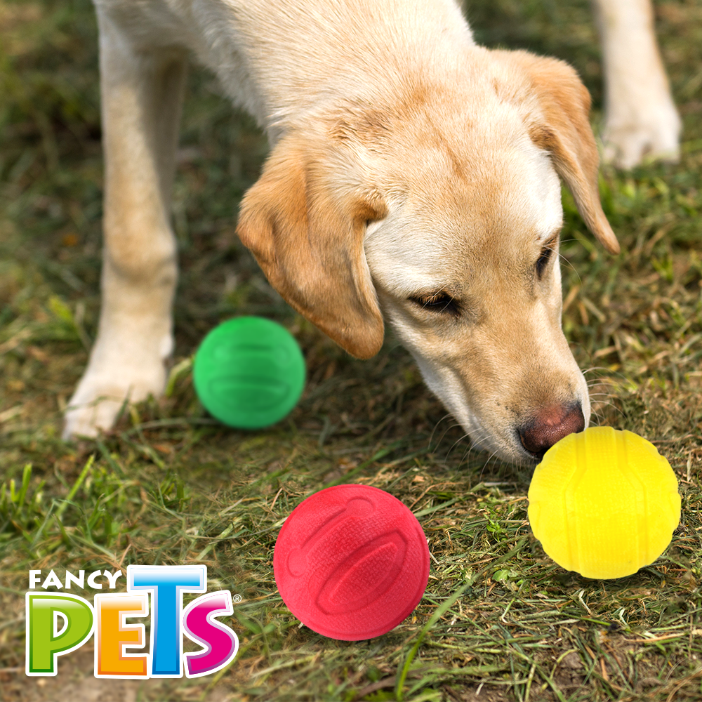 Petsound Juguete Set de Pelotas con Aroma Sniff 3 Piezas para Perro