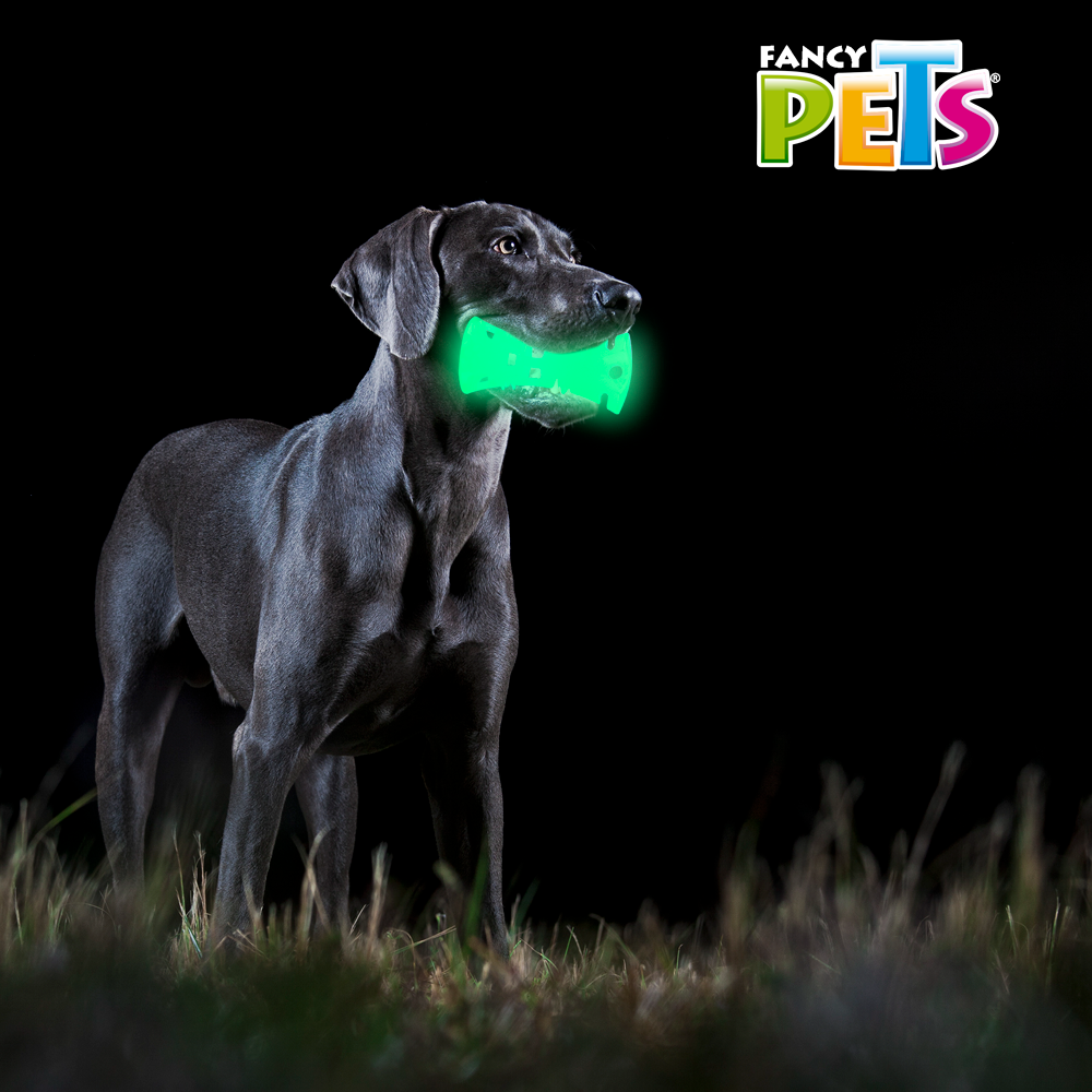 Petsound Juguete Hueso Glow para Perro