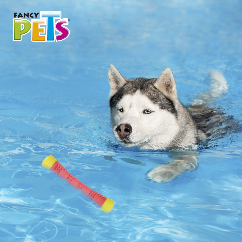 Petsound Juguete Vara Magica Chew para Perro