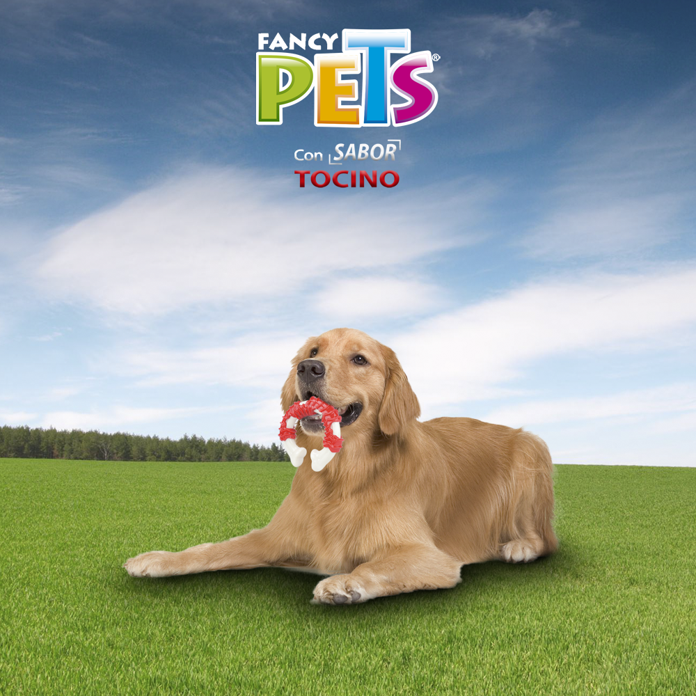 Petsound Juguete Vertebra Grande Sabor Tocino Chew para Perro