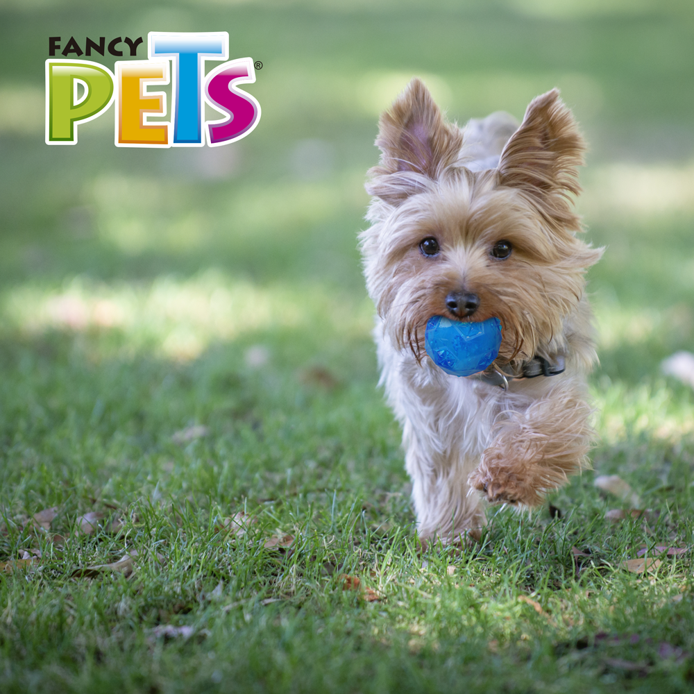 Petsound Juguete Pelota Prisma con Sonido para Perro
