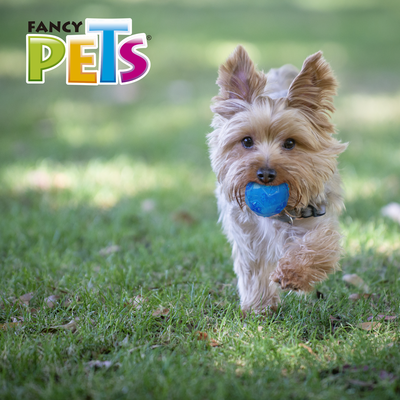 Petsound Juguete Pelota Prisma con Sonido para Perro