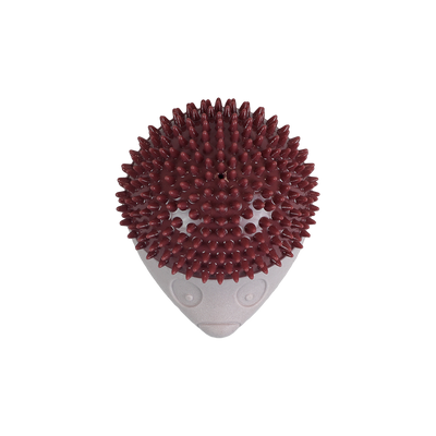 Petsound Juguete Erizo Terrestre Spiky para Perro