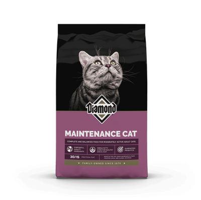 Diamond Gato Mantenimiento