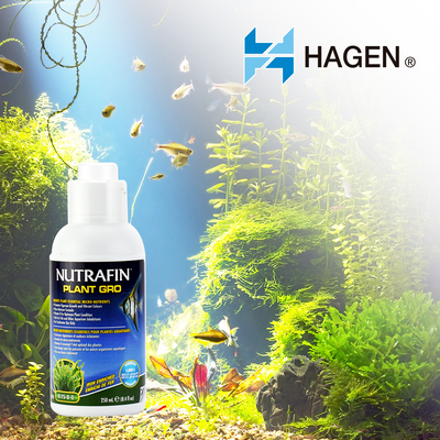Hagen Acondicionador Plant Gro 250 ml para Peces