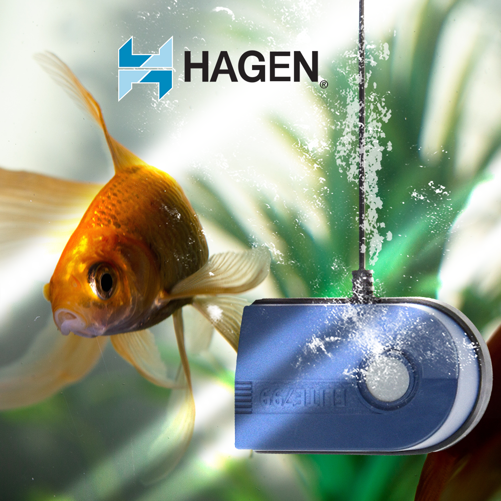 Hagen Bomba Elite para Peces