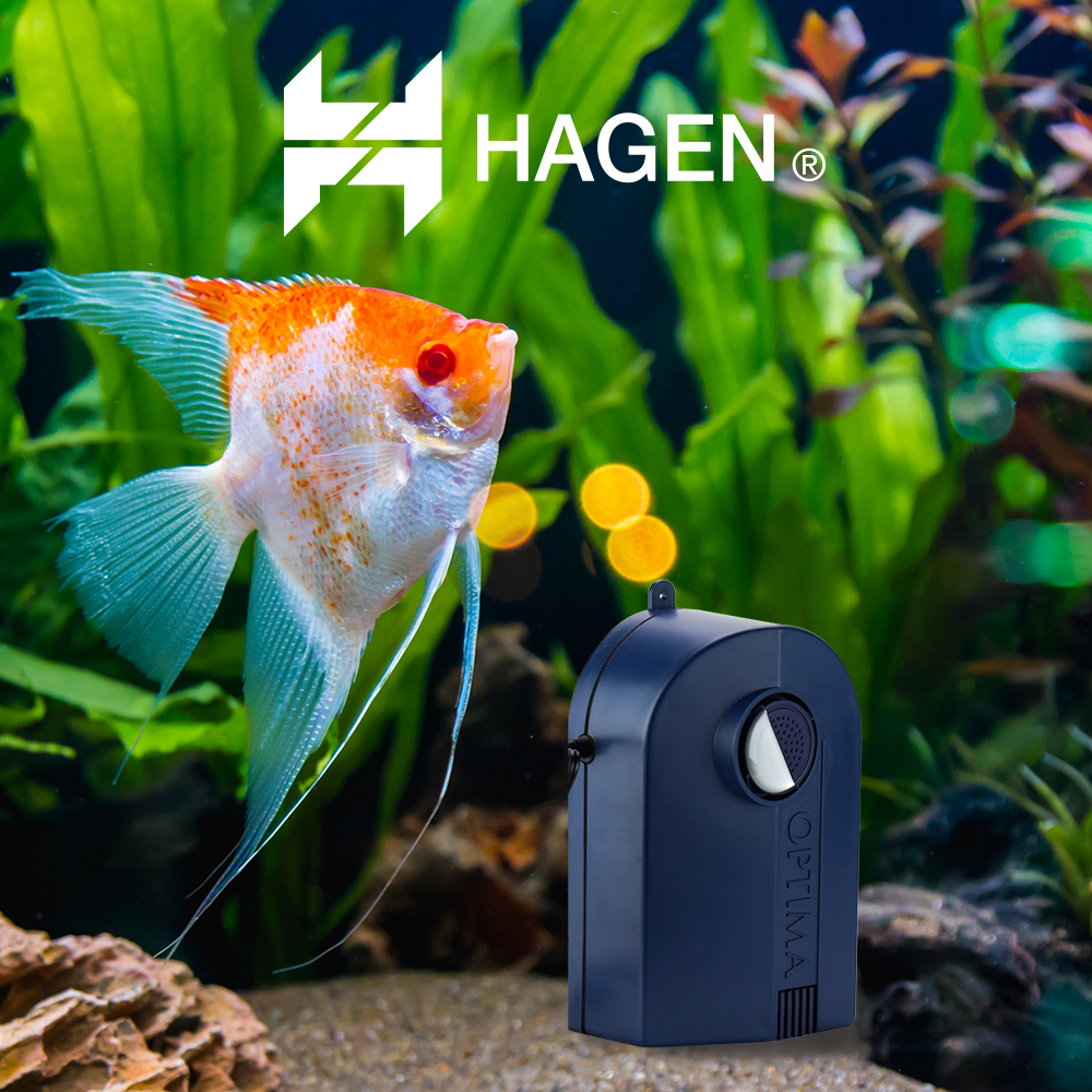Hagen Bomba Optima Mas de 30 gal (113.5 L) para Peces