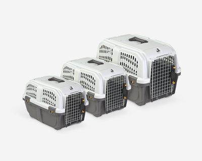 MPS Transportadora Skudo Iata para Perro