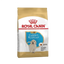 Royal Canin Labrador Cachorro