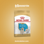 Royal Canin Labrador Cachorro