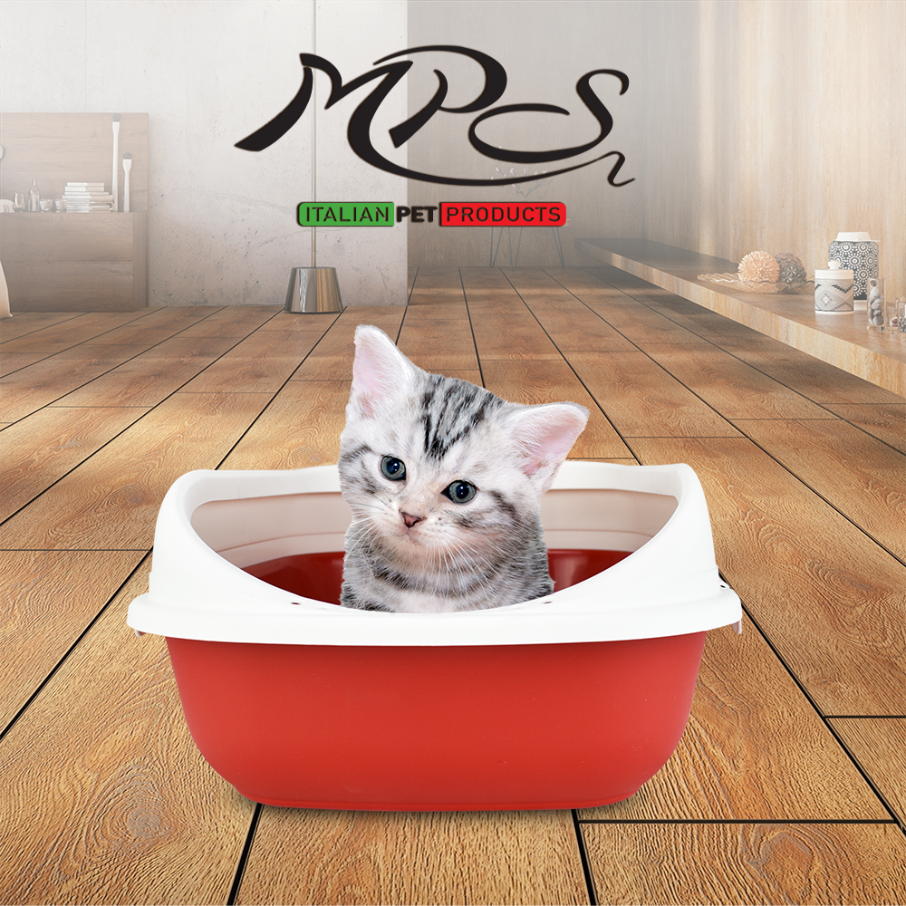 MPS Arenero con Marco para Gato