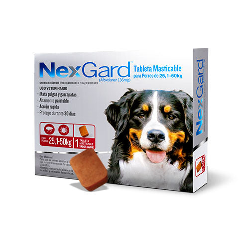 NexGard Perro