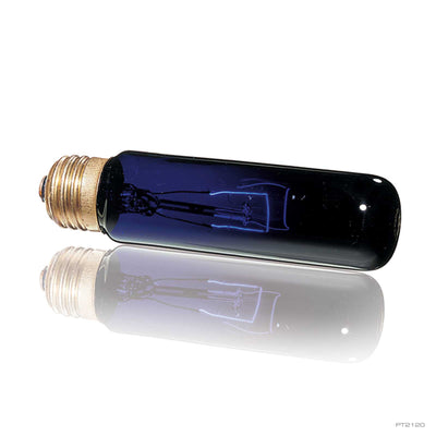 Hagen Foco Night Glo Exo-Terra para Reptiles y Anfibios
