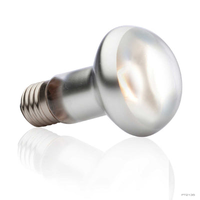 Hagen Foco Sun Glo Tight Beam Exo-Terra para Reptiles y Anfibios