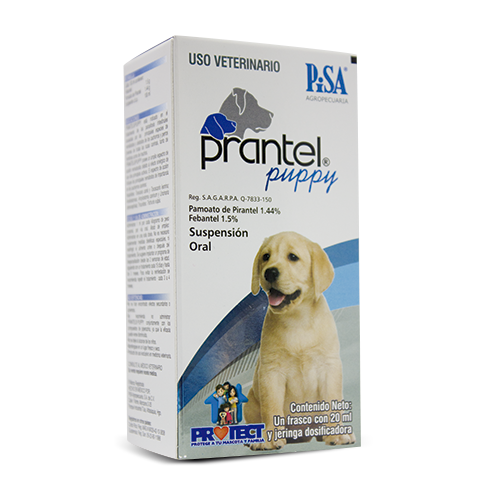 Prantel Puppy Suspensión