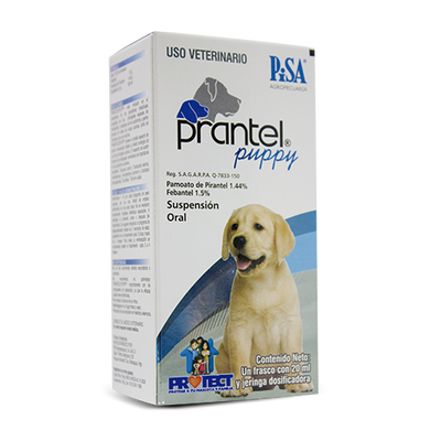 Prantel Puppy Suspensión