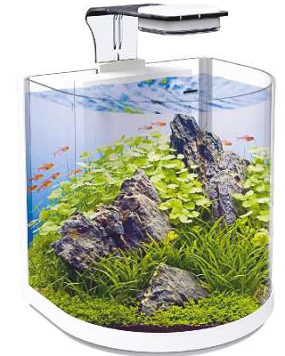 Pecera Sunny Nano Importada Tipo Medio Punto 10 L para Peces