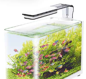 Pecera Sunny Nano Importada Tipo Bala 13 L para Peces