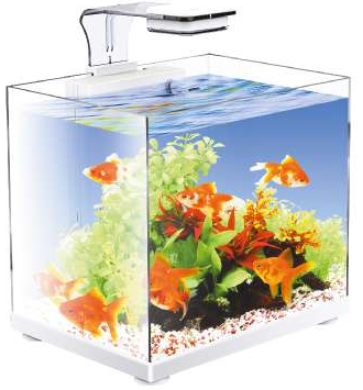 Pecera Sunny Nano Importada Tipo Cubo 17 L para Peces