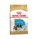 Royal Canin Shih Tzu Cachorro 1.1kg