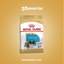 Royal Canin Shih Tzu Cachorro 1.1kg