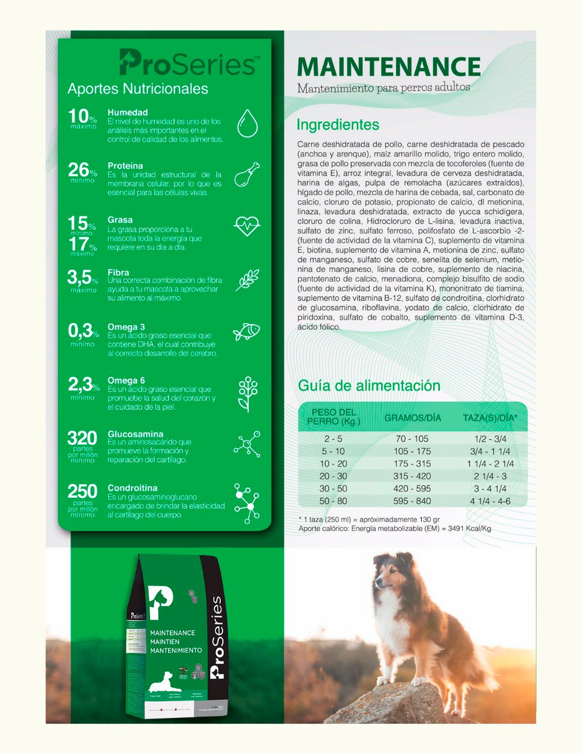 ProSeries Adulto Mantenimiento – ficha técnica oficial: ingredientes, guía de alimentación y aportes nutricionales