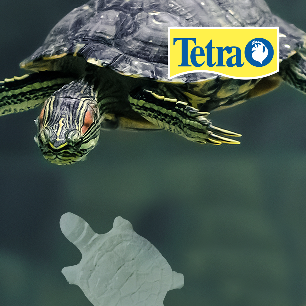 Tetra Reptoguard para Reptiles y Anfibios