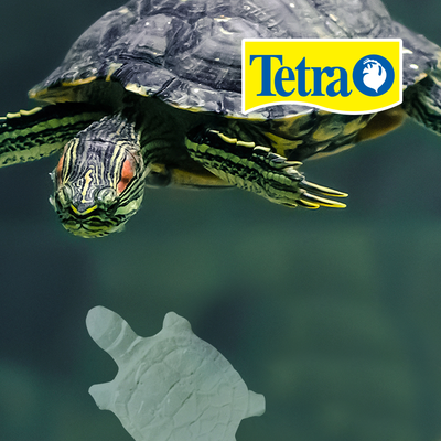 Tetra Reptoguard para Reptiles y Anfibios