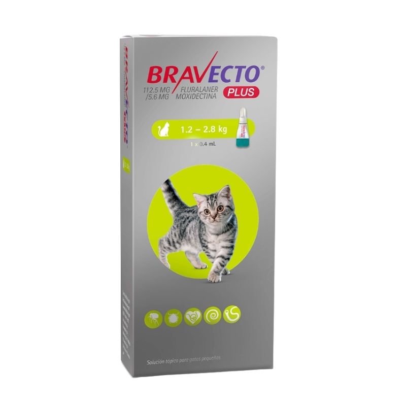 Bravecto Plus Gato