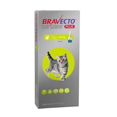 Bravecto Plus Gato