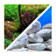 Seaview Respaldo Importado 2 Vistas Modelo BGAQ2 para Peces