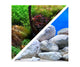 Seaview Respaldo Importado 2 Vistas Modelo BGAQ2 para Peces