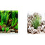 Seaview Respaldo Importado 2 Vistas Modelo BGCLD6 para Peces