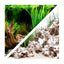 Seaview Respaldo Importado 2 Vistas Modelo BGCLD6 para Peces