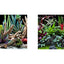Seaview Respaldo Importado 2 Vistas Modelo BGDD4 para Peces