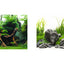 Seaview Respaldo Importado 2 Vistas Modelo BGGS9 para Peces