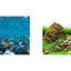 Seaview Respaldo Importado 2 Vistas Modelo BGRR3 para Peces